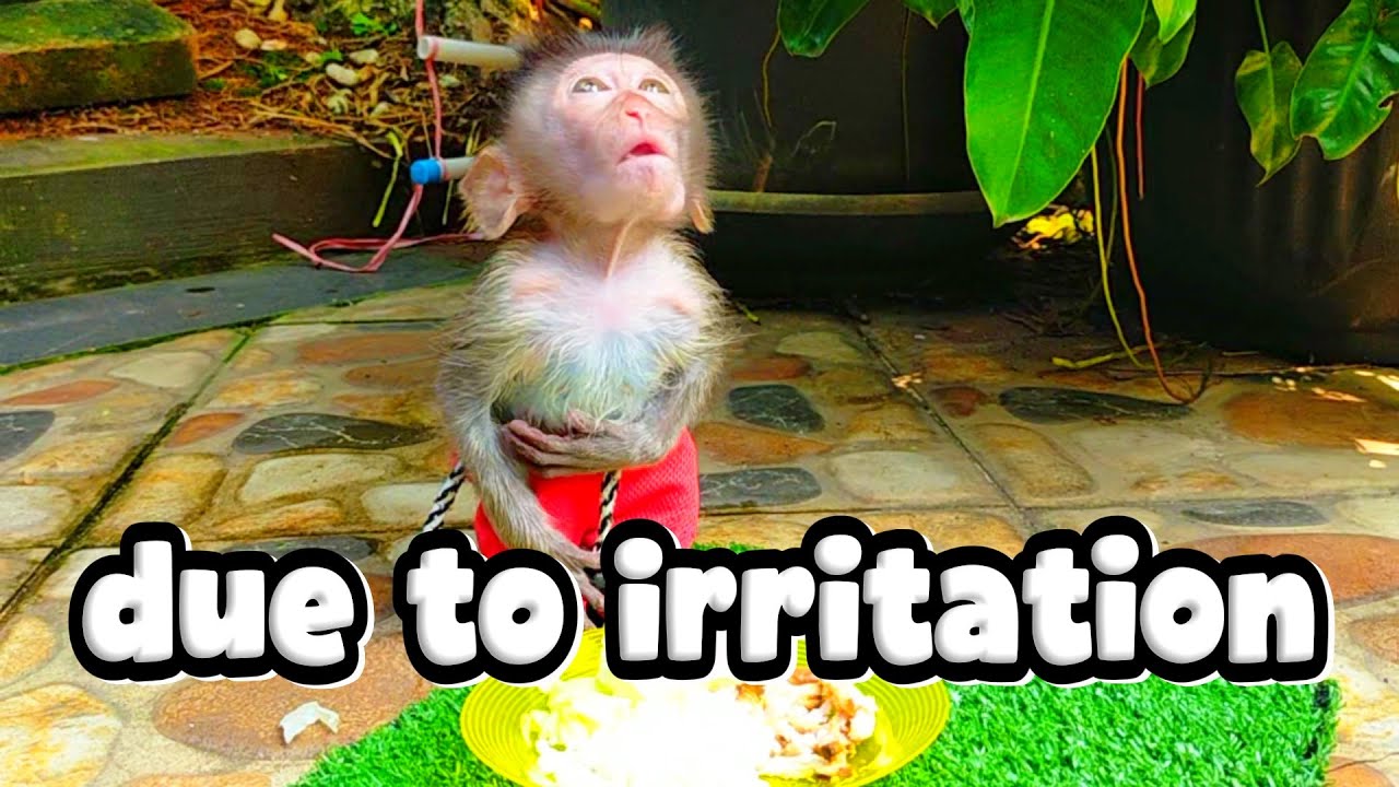 due to irritation