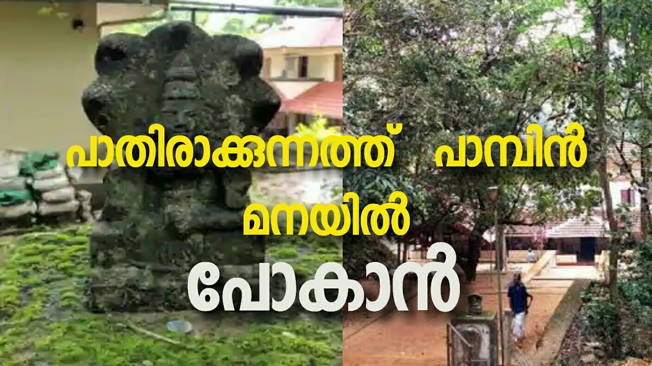 pathirakunnath mana |SHORNUR to pathirakunnath mana yathra | My Battalion 69