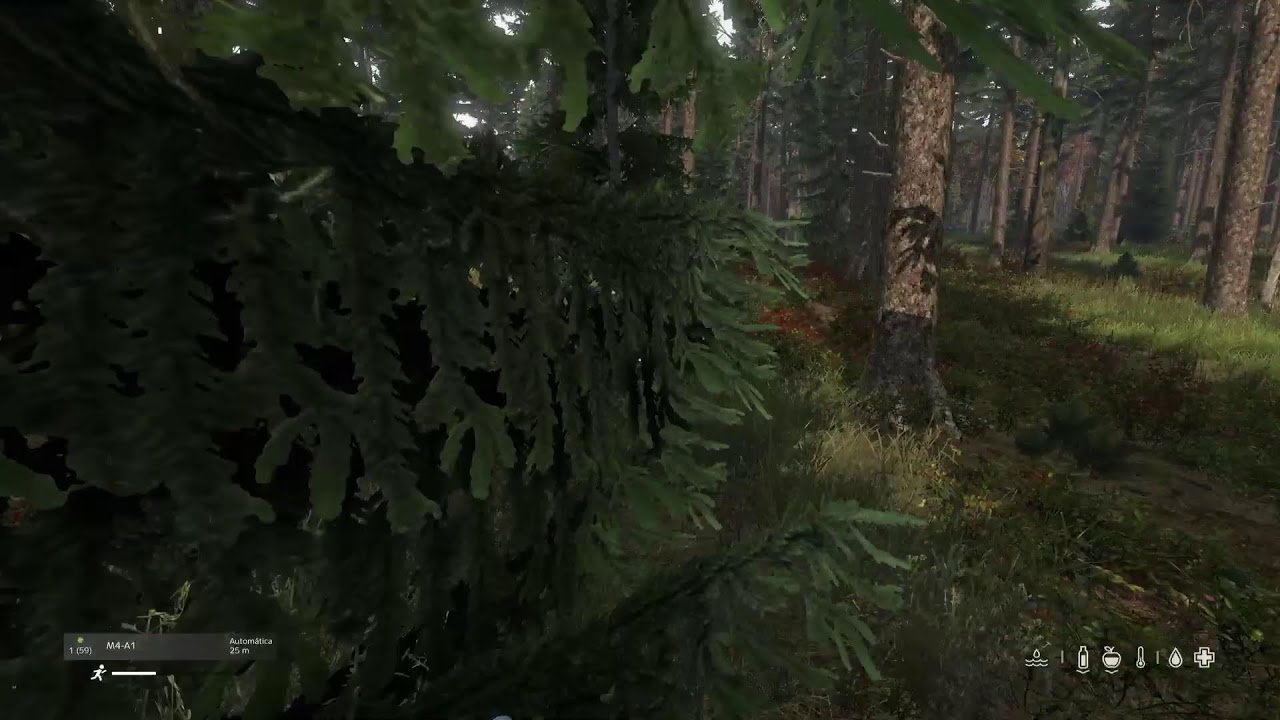 DayZ da madrugada ao vivo  ps5