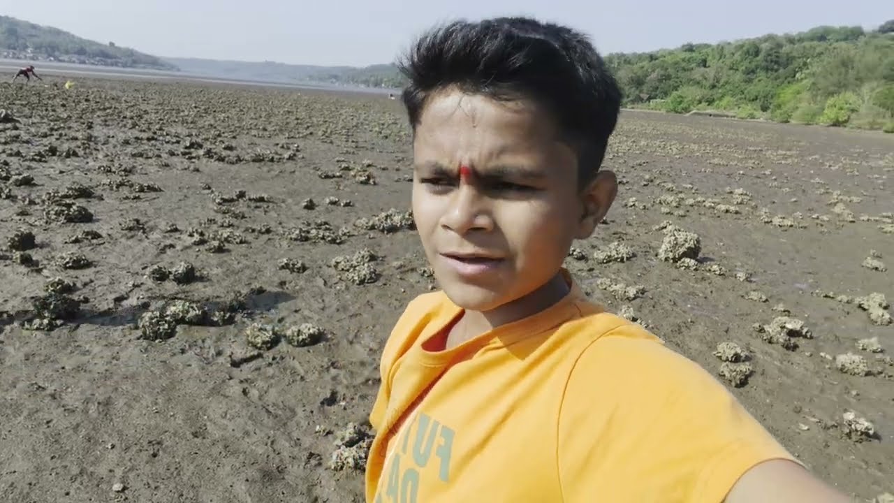 गेलो होतो खाडीवर कालव काढायला!भेटली पिशवी भरून कालवा#oysters #seafood #kokan 