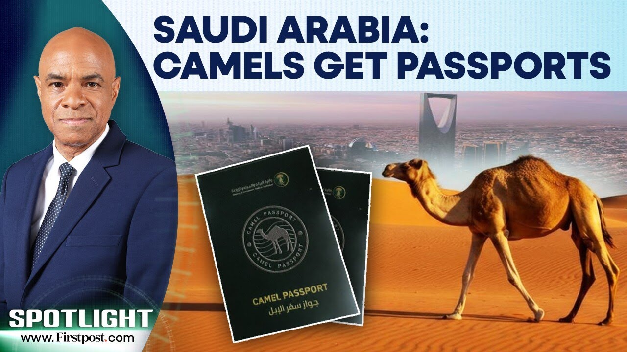 Saudi Arabia Introduces Official Passports For Camels To Regulate The Sector | Spotlight | N18G