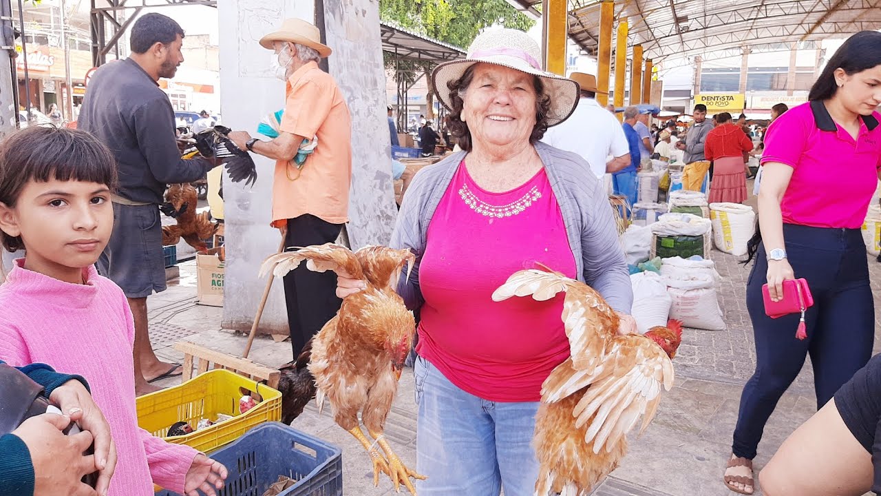 MUITA FARTURA NA FEIRA DE SAO BENEDITO CEARÁ 31/01/26