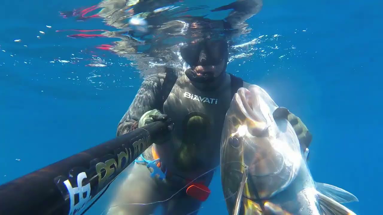 Pesca Sub Sardinia: AGOSTO 2022 FANTASTICA CATTURA 20 KG DI BIG AMBERJACK ..BRANCO DI RICCIOLONE