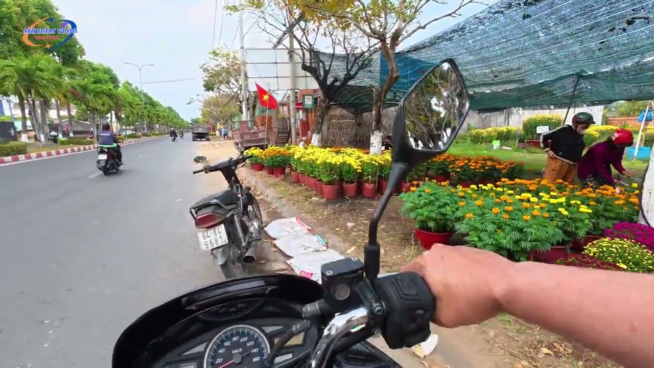 Dạo một vòng điểm bán hoa Tết Quốc lộ 57, Vĩnh Long | MrDamvlog