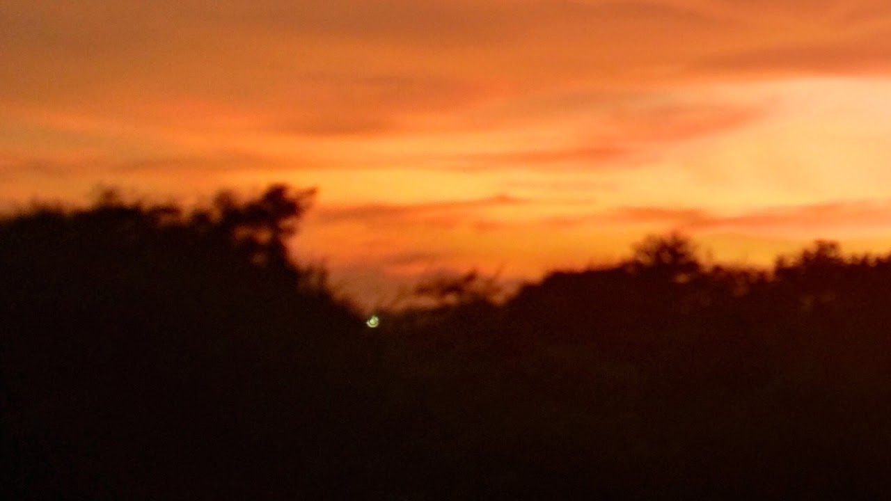 Cell the unit of life live iiser aptitude test NEET, CUET UG Nursing  class 12 biology
