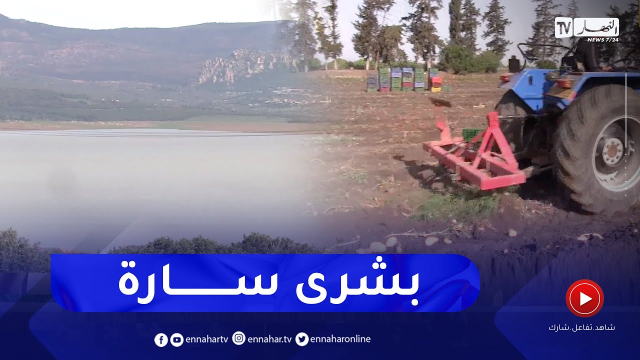 الطارف: نسبة امتلاء السدود بلغت الـ93 بالمئة.. الفلاحون يستبشرون بموسم ناجح