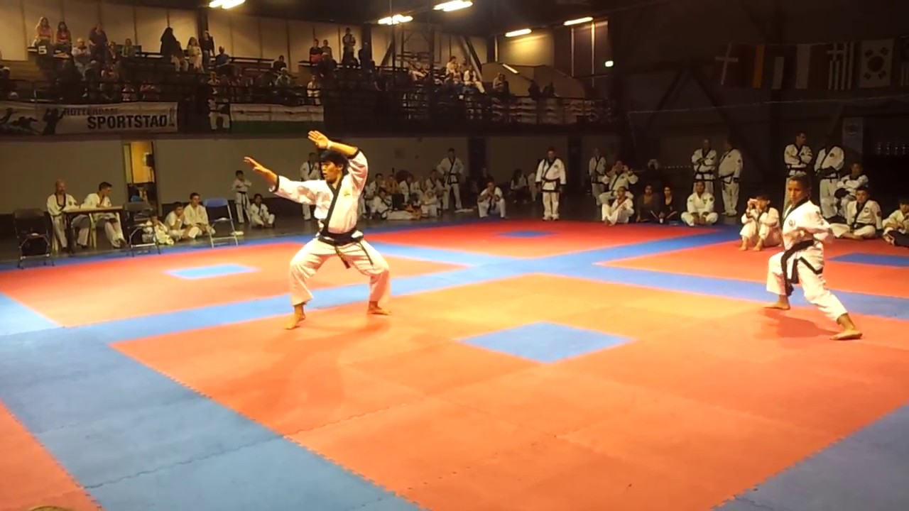 Tang Soo Do Malaysia- Kee Sheng Tan Chil Sung Sam Ro (Holland 2013)