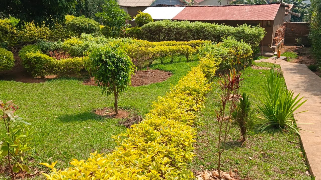 INZU MUBUSO 589sqm IGURISHWA 26M INYAMIRAMBO KUMUHANDA MUNINI MUGATARE  0786779769