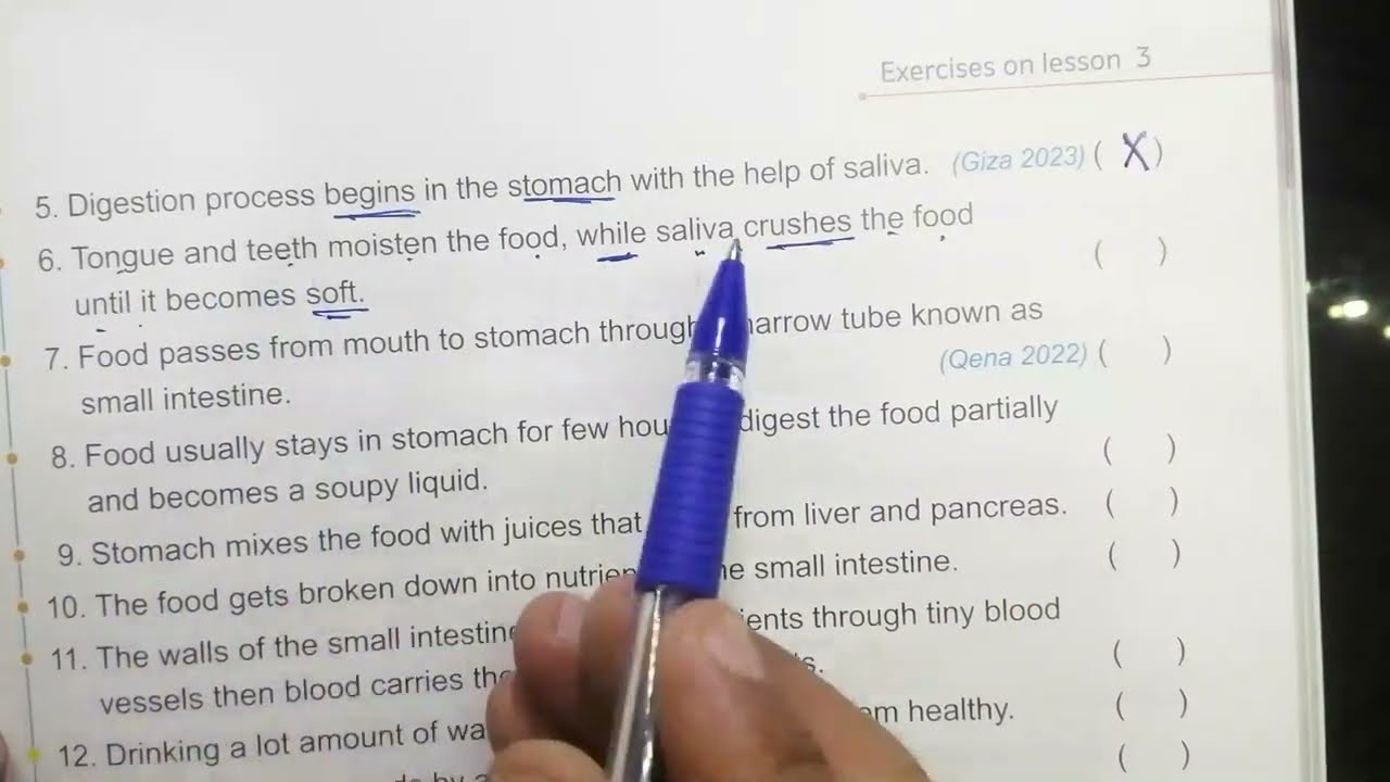 حل تدريبات الدرس الثالث science primary 4 first trem