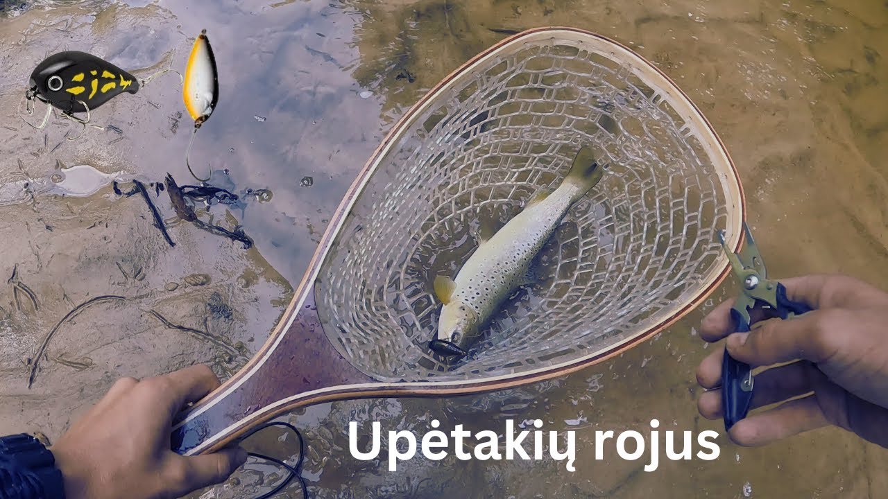 mažas upelis ir upėtakių rojus