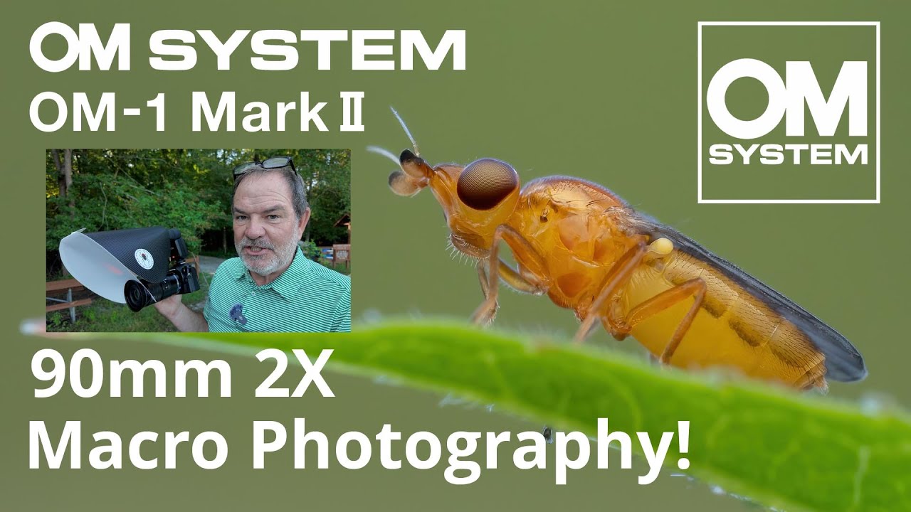 OM SYSTEM OM-1 Mark II Macro Photography with 90mm 2x Macro Lens!