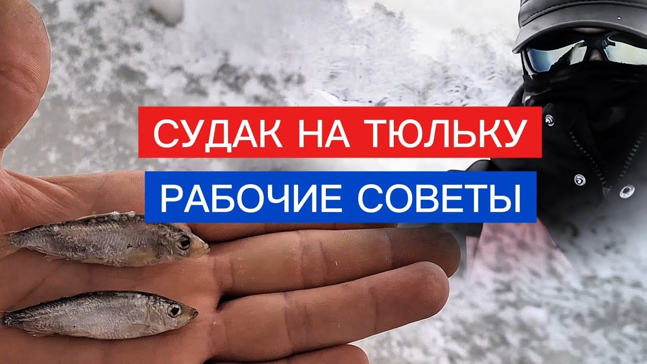 СУДАК на ТЮЛЬКУ! Рабочие советы!