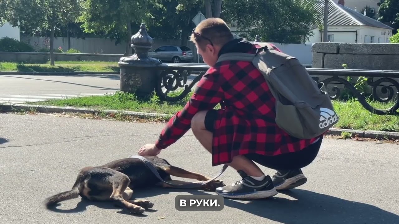 У Полтаві відбувся перший 
