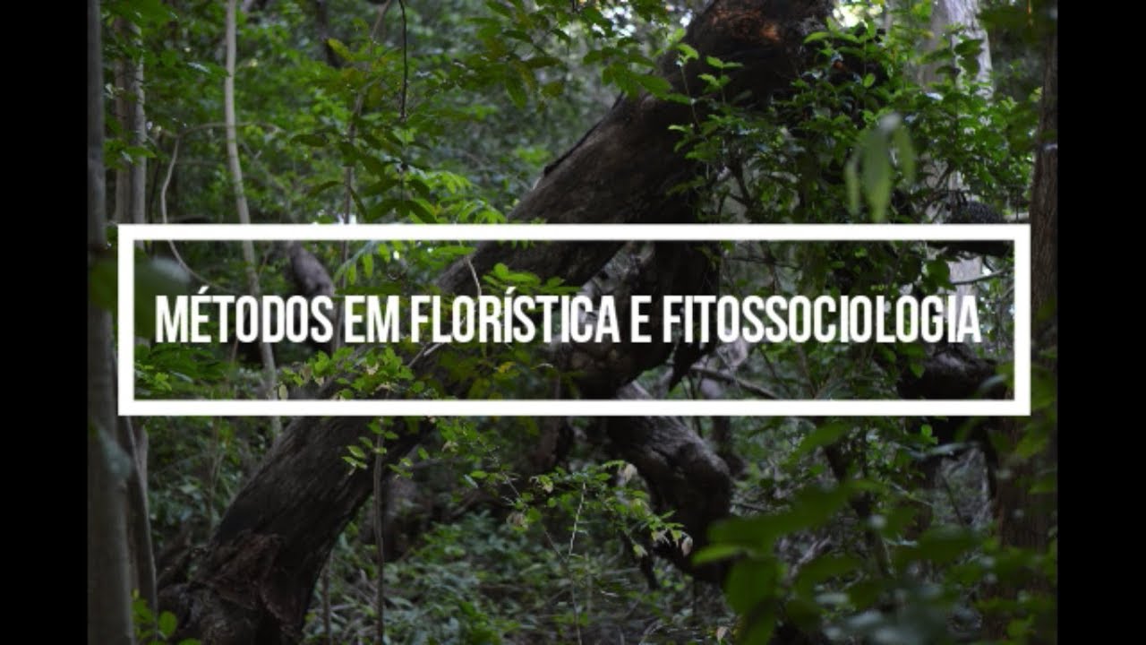 Métodos em florística e fitossociologia: um guia audiovisual