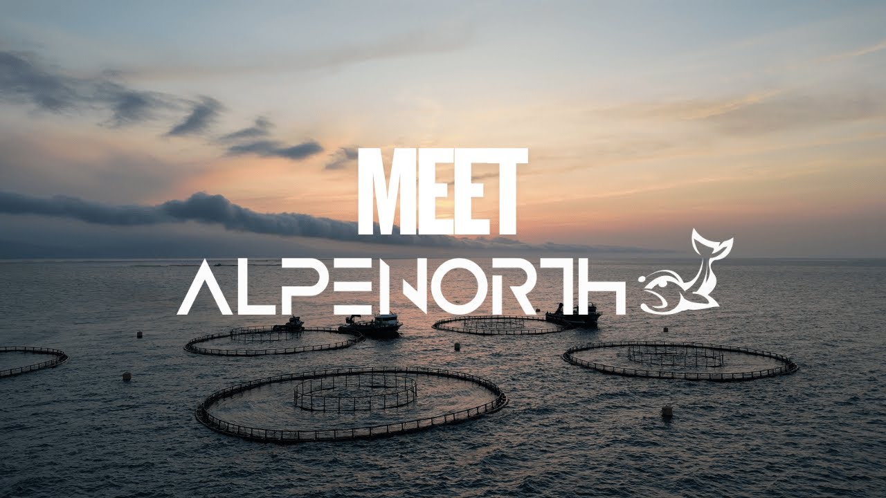 Meet Alpenorth Seafood – From the Black Sea to the World