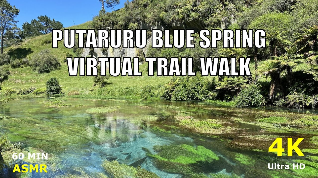 Virtual Walk ASMR 4k - 60 Minute Treadmill Workout Putaruru Blue Spring, New Zealand