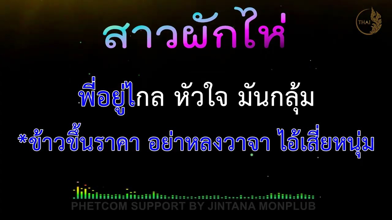 สาวผักไห่ คาราโอเกะ Midi Karaoke 76/G