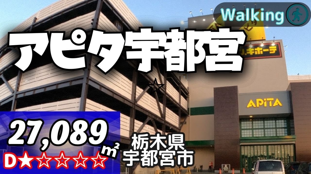 【27,089㎡ / 栃木県宇都宮市 】宇都宮へのイオン進出を阻む 四天王の一角 アピタ宇都宮 散歩 VR Walking Tour ショッピングセンター