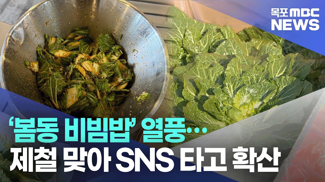 [AI뉴스] ‘봄동 비빔밥’ 열풍…제철 맞아 SNS 타고 확산