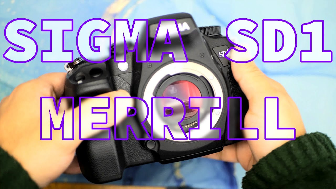 Sigma SD1 Merrill — цифровая зеркальная фотокамера с полноцветным сенсором Foveon X3 — обзор 2024...