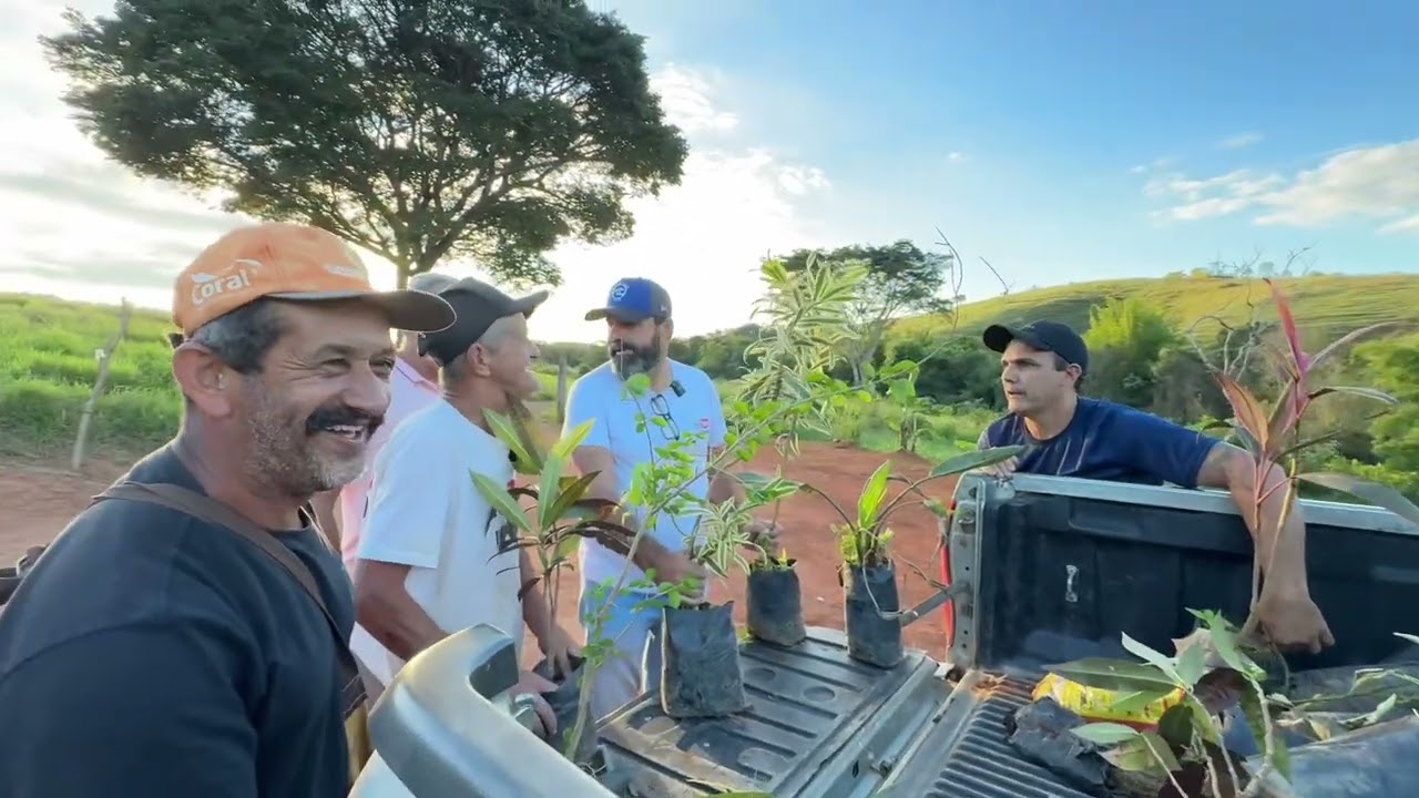 plantamos flores, palmeiras e frutíferas no sítio do Zezé