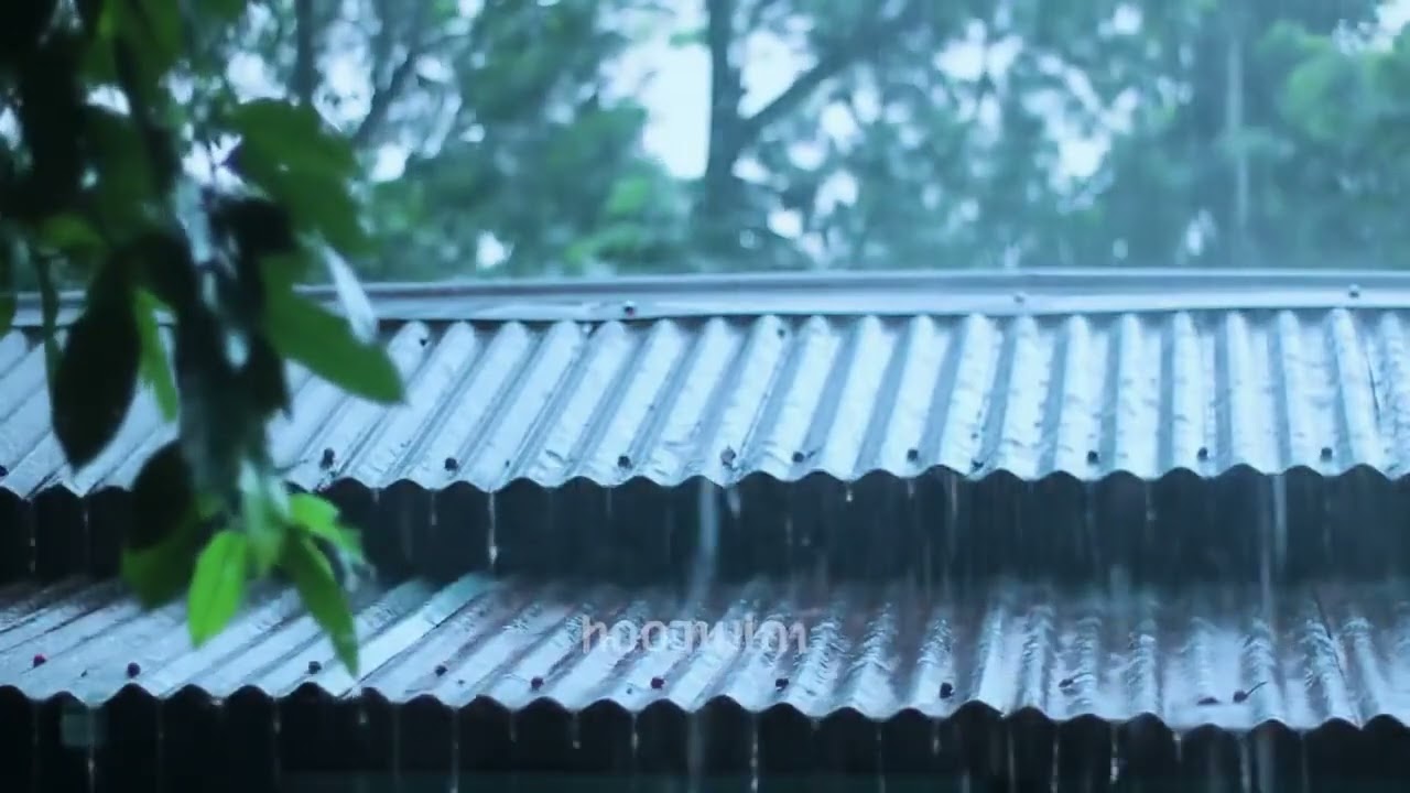 Fall Into Deep Sleep Instantly 😴 Heavy Rain on Forest Cabin & Intense Thunderstorm Sounds for Sleep