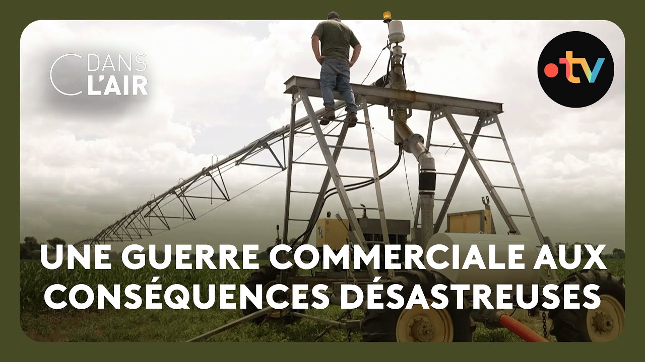 Aux États-Unis, la désillusion des agriculteurs qui ont voté Trump - Reportage #cdanslair 17.07.25