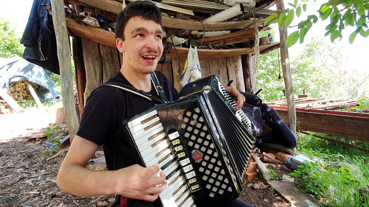 Dušku poklonite harmoniku