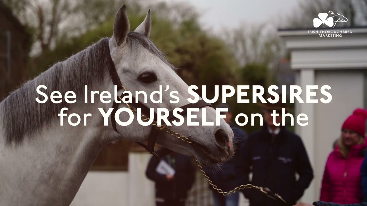 ITM Irish Stallion Trail 2026