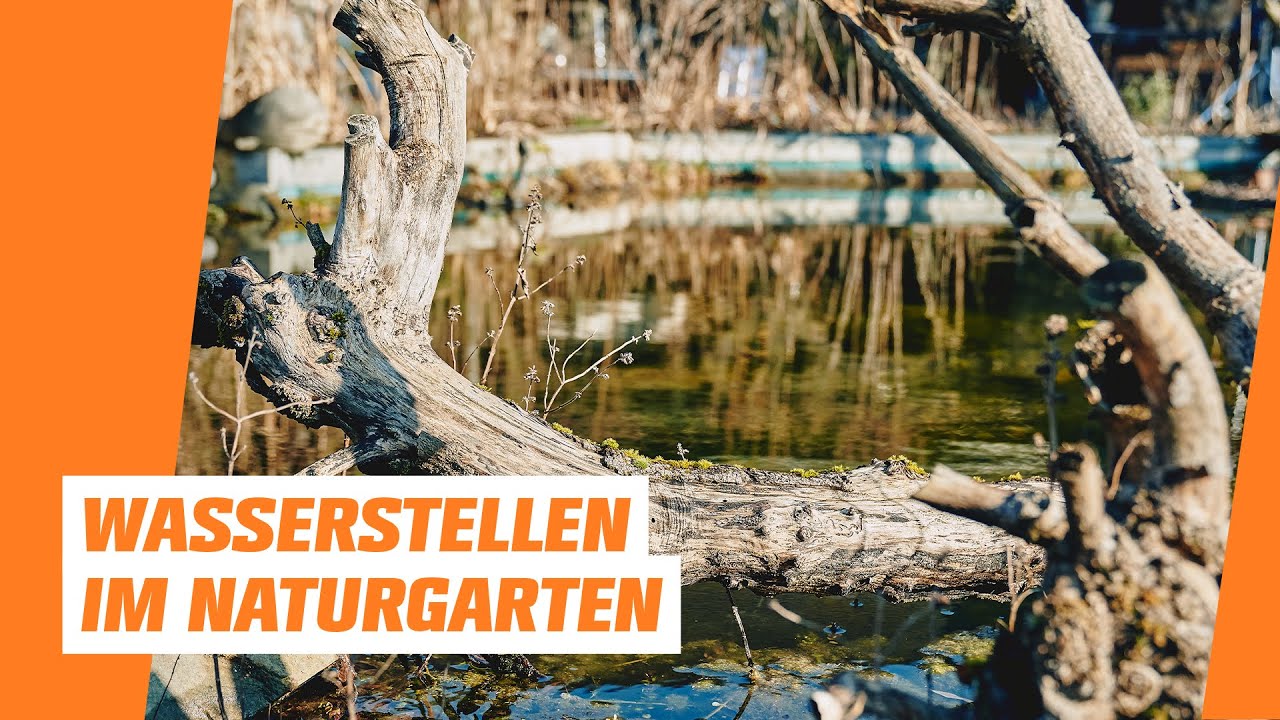 Wasserstellen I OBI I Naturnaher Garten – Folge 5