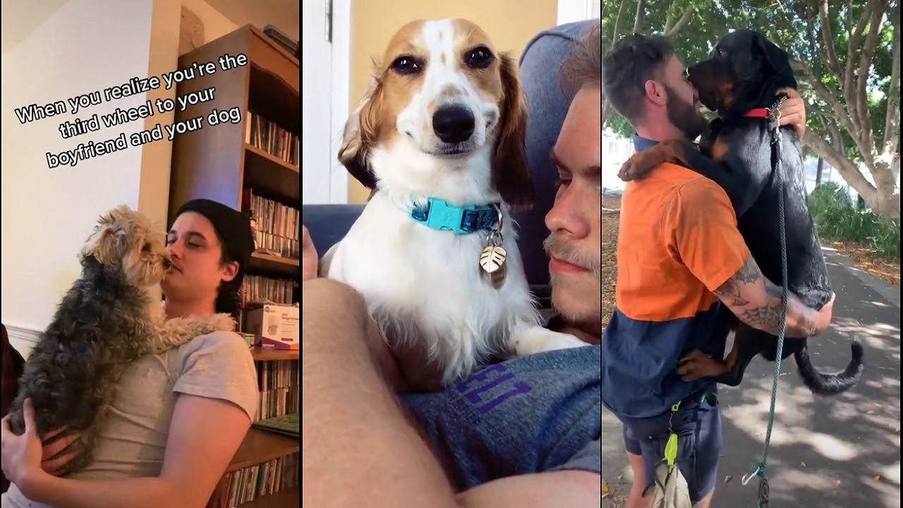 When your dog loves your boyfriend more than you