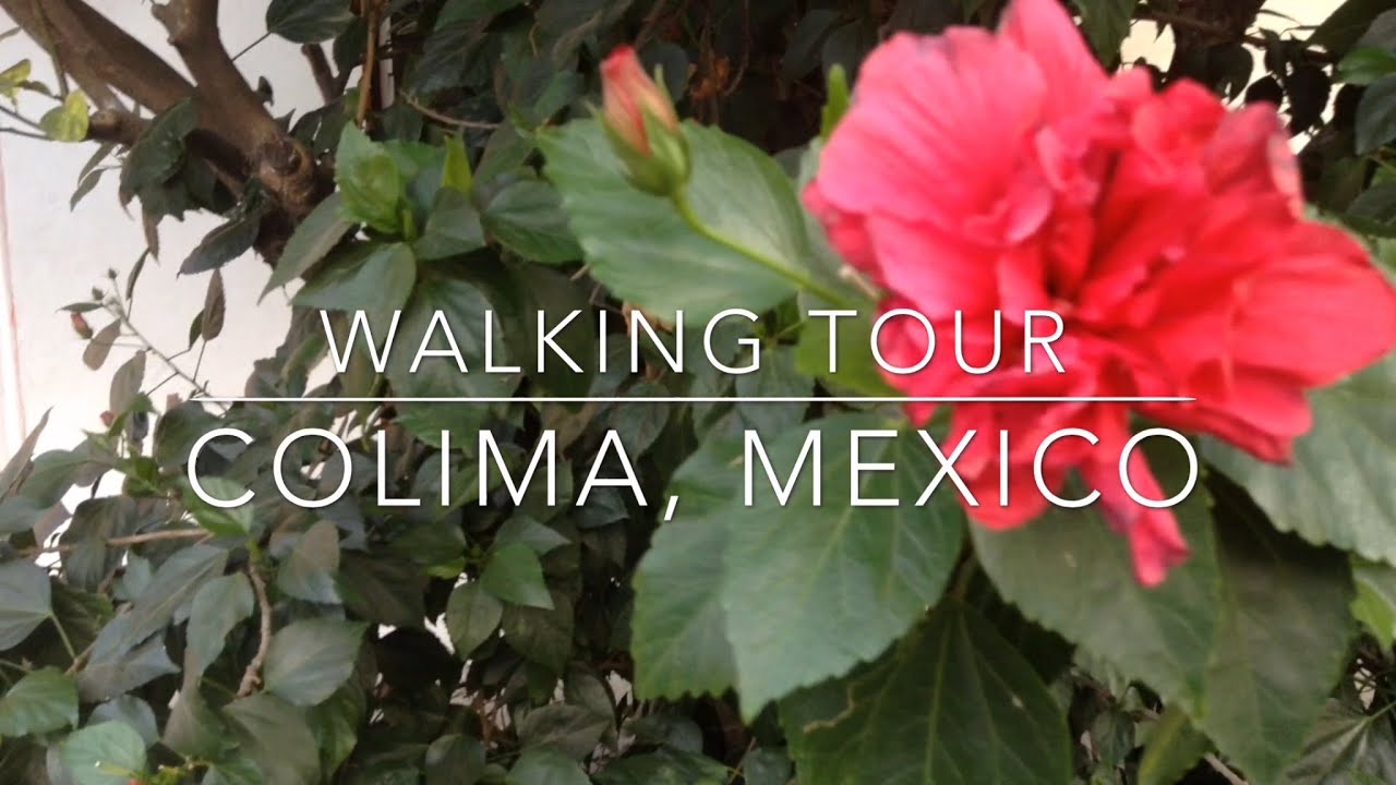 COLIMA, MEXICO (Walking tour)