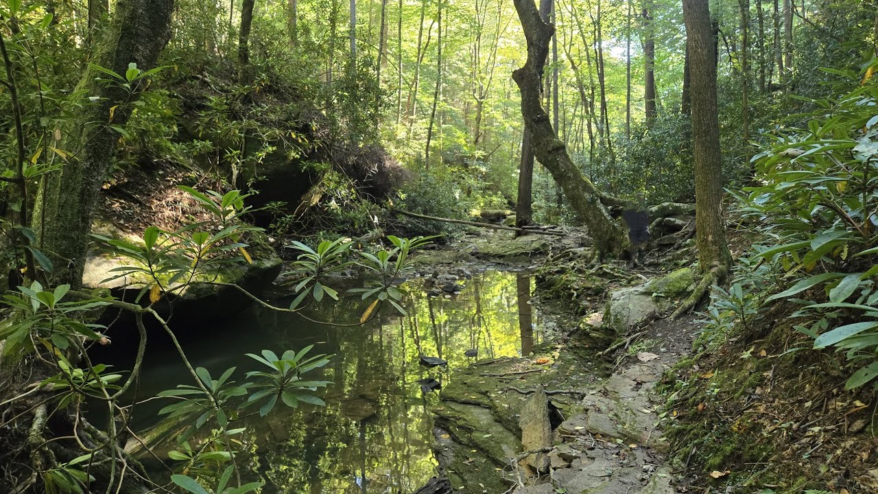 Honey Creek Loop, Big South Fork National River