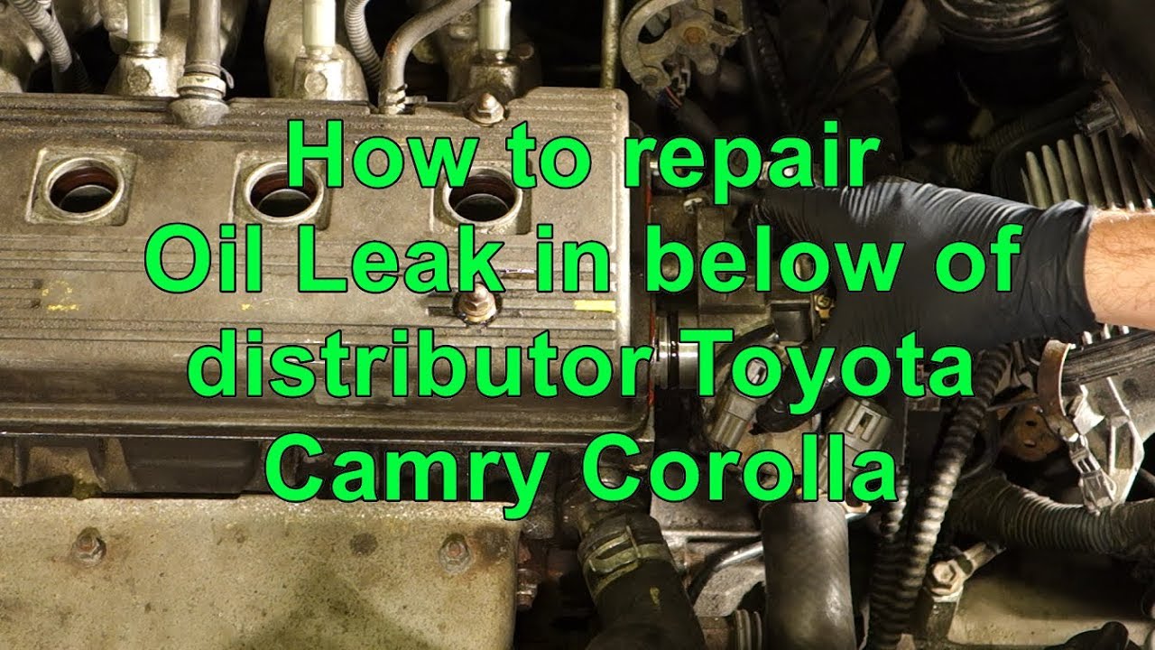 How to repair Oil Leak in below of distributor Toyota Camry Corolla years 1992 to 2002