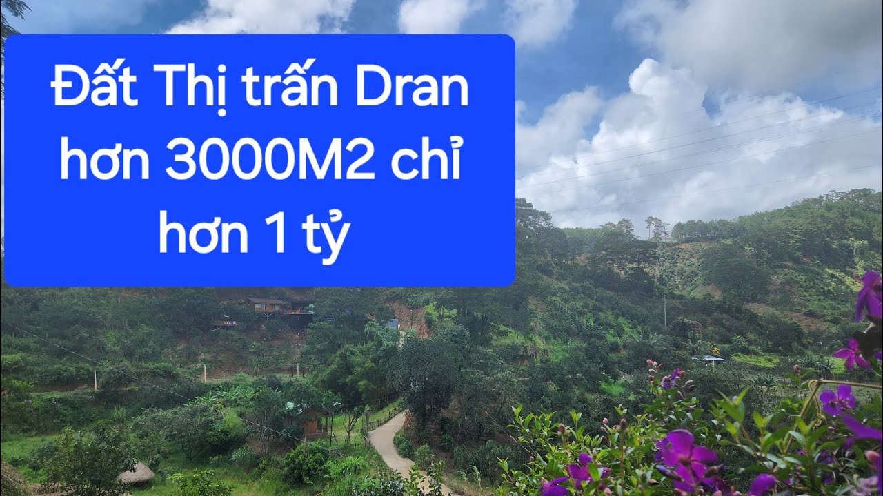 ( Đã Bán ) 