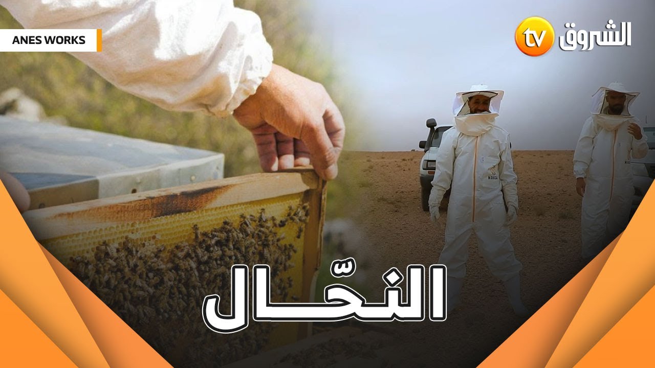 أنس اليوم راح يجرب خدمة  النحّال ... 🐝🐝