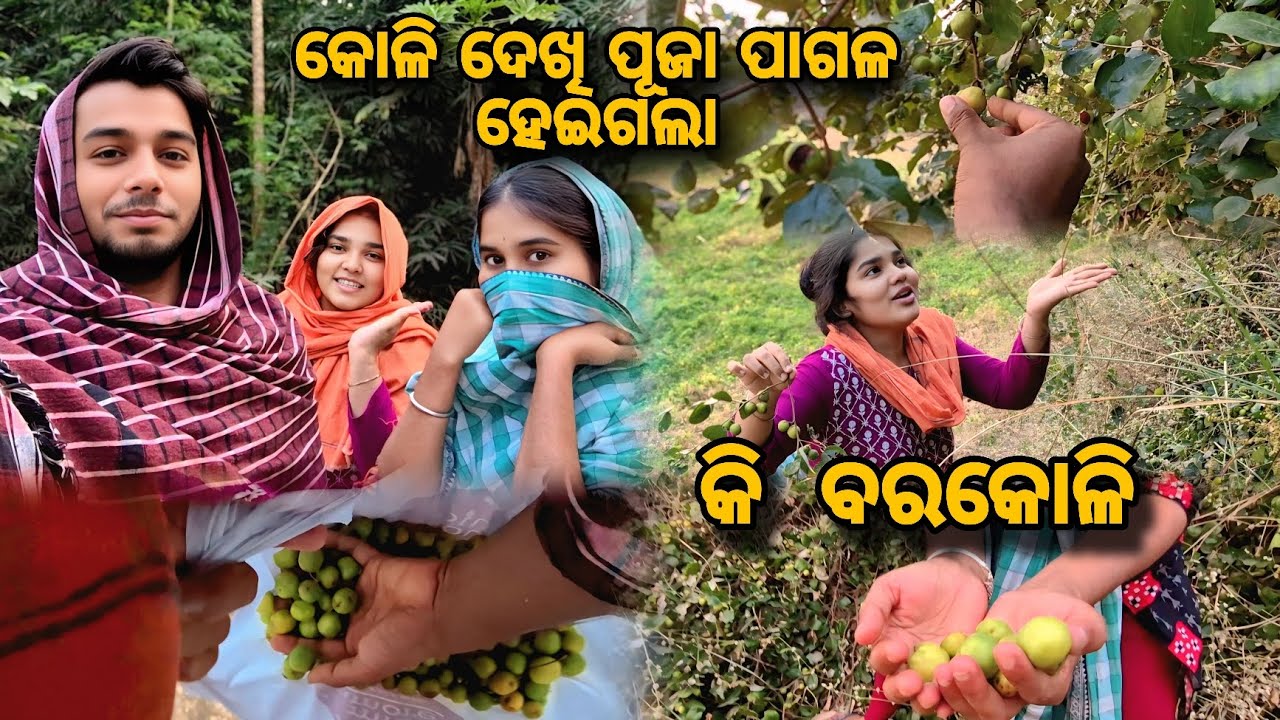ଗାଆଁ 🏕  ରେ  ବରକୋଳି 🍒 ଚୋରି 😱 || MY FIRST VLOG || #myfirstvlog #viral || 