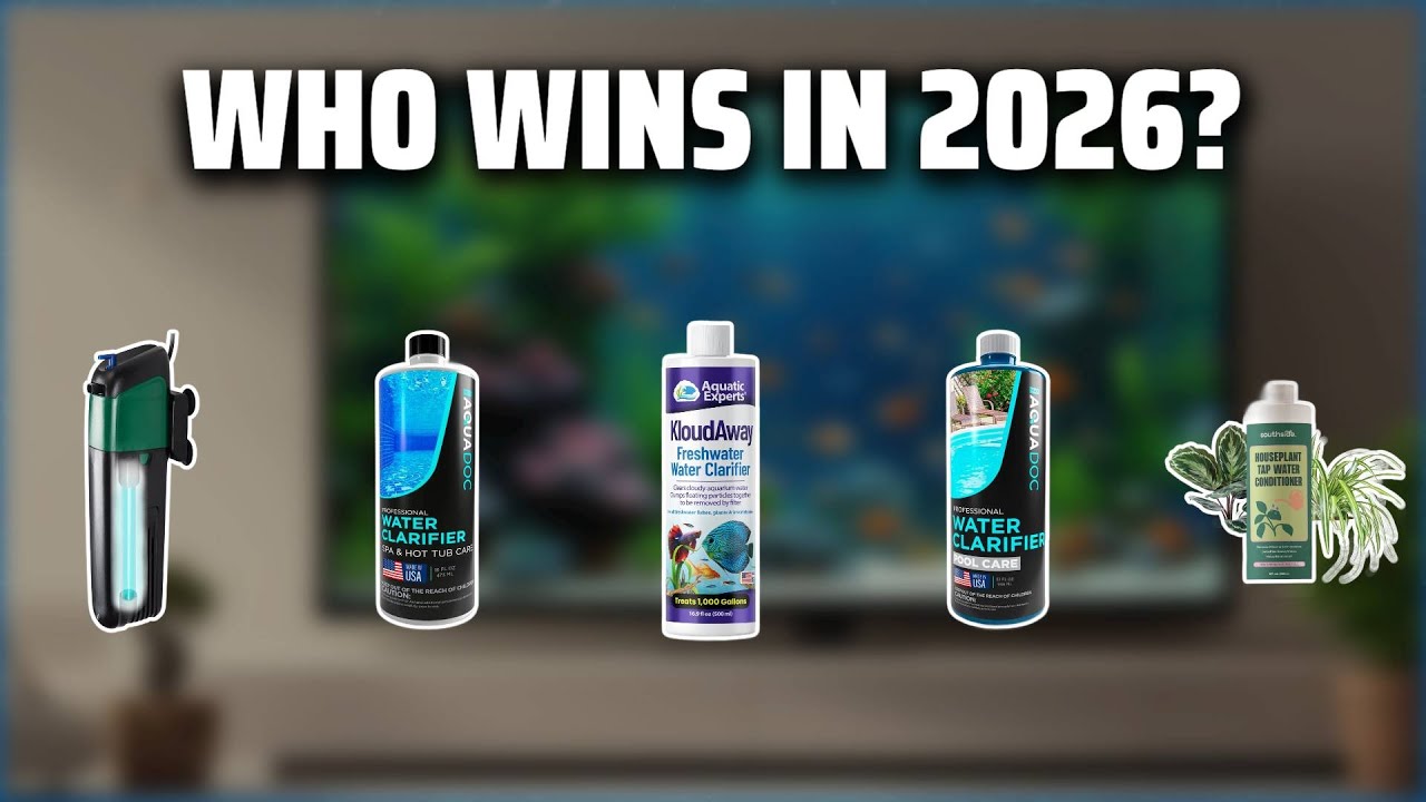 The Top 5 Best Aquarium Water Clarifier in 2026 - Must Watch Before Buying!