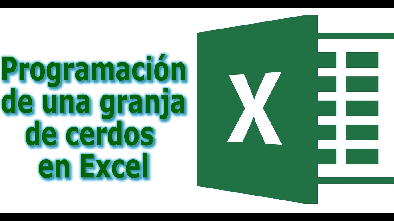 PROGRAMACIÓN GRANJA DE CERDOS