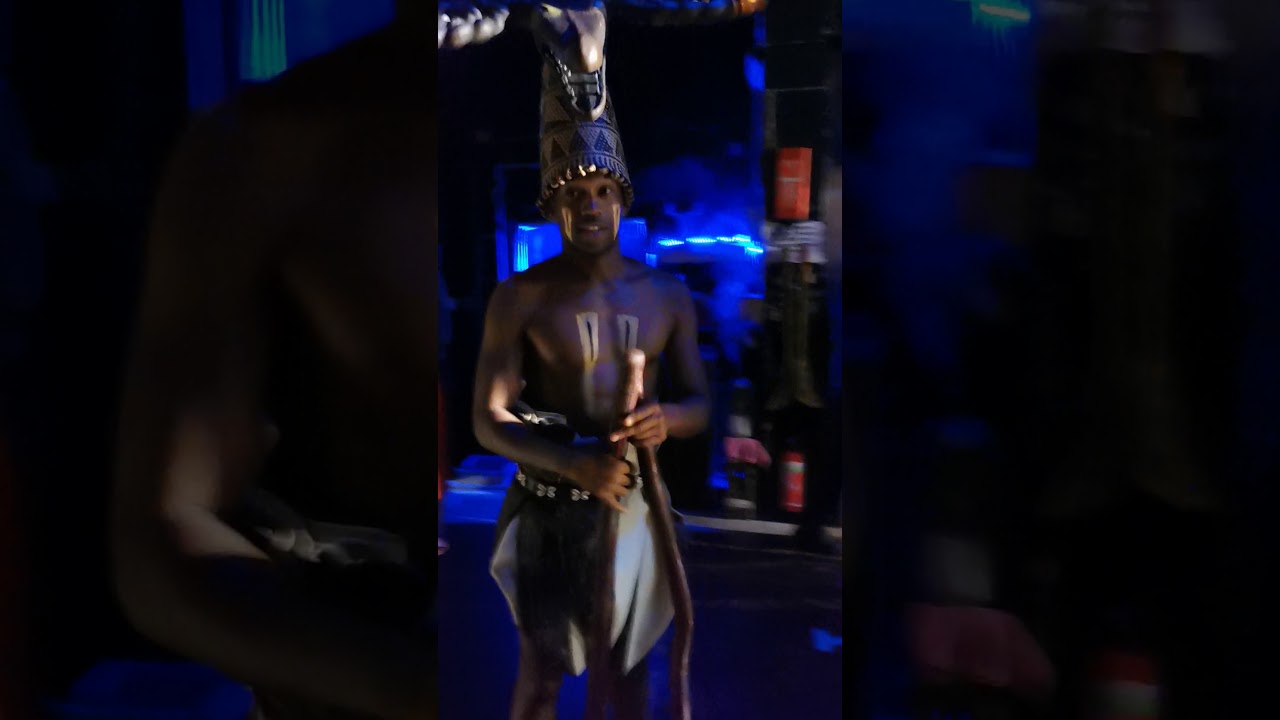 Nigel Brown - Final Busa  The Lion King NL