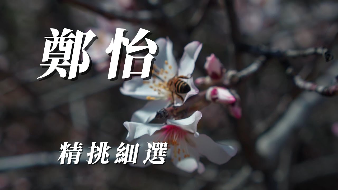 （鄭怡） 精挑細選。謝謝朋友  
