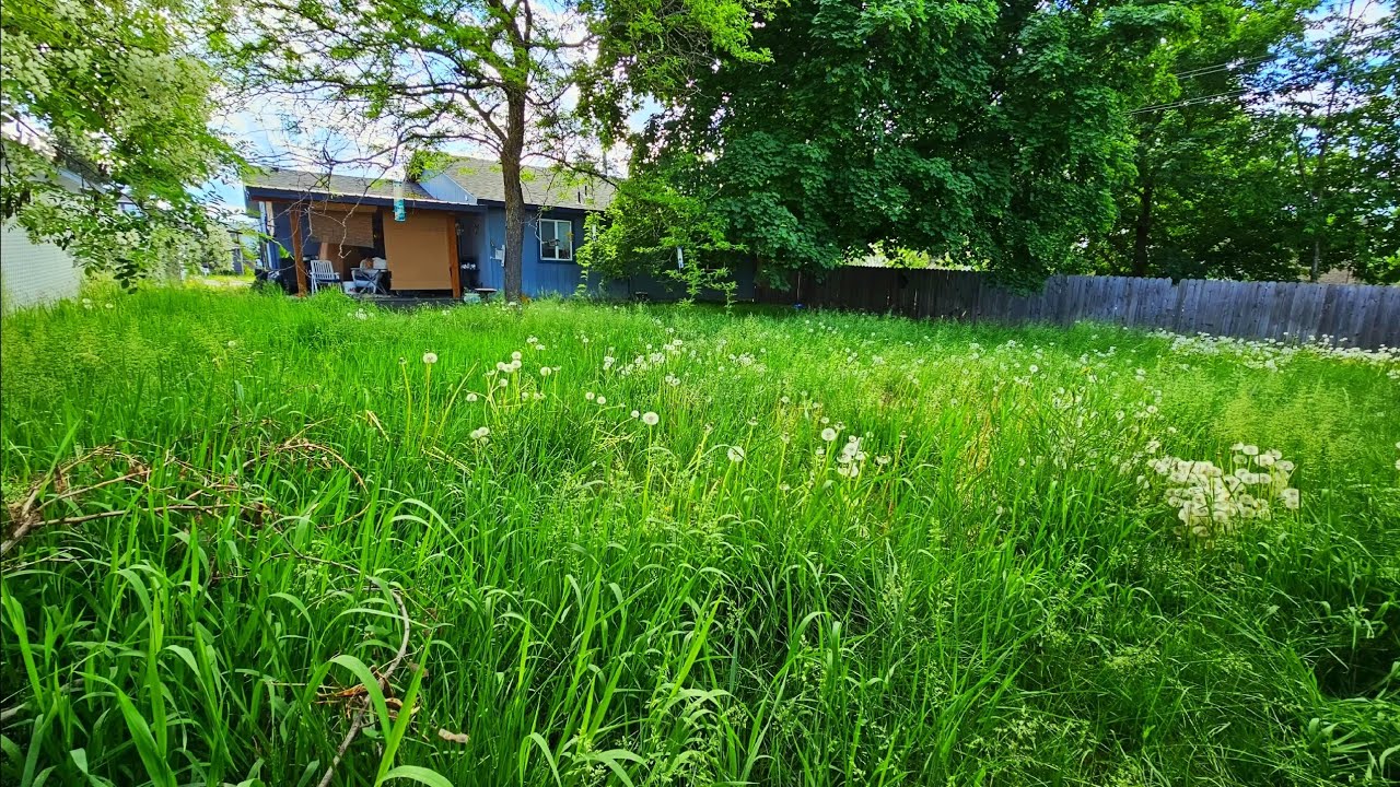 Neighbor Doesn't BELIEVE ME I'm Cutting Her TALL GRASS Down For FREE