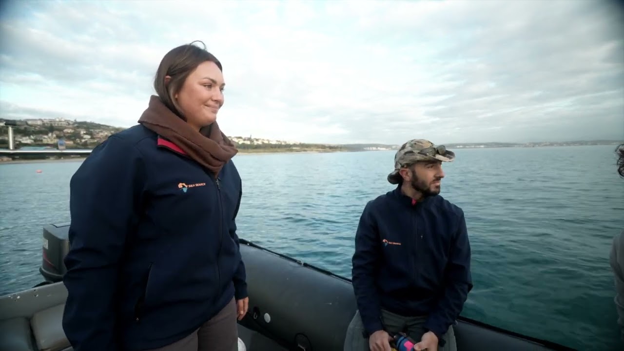 Humpback dolphins - S11 EP20