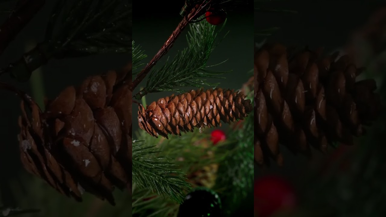 Pine Pyment Mead / Медоварня 