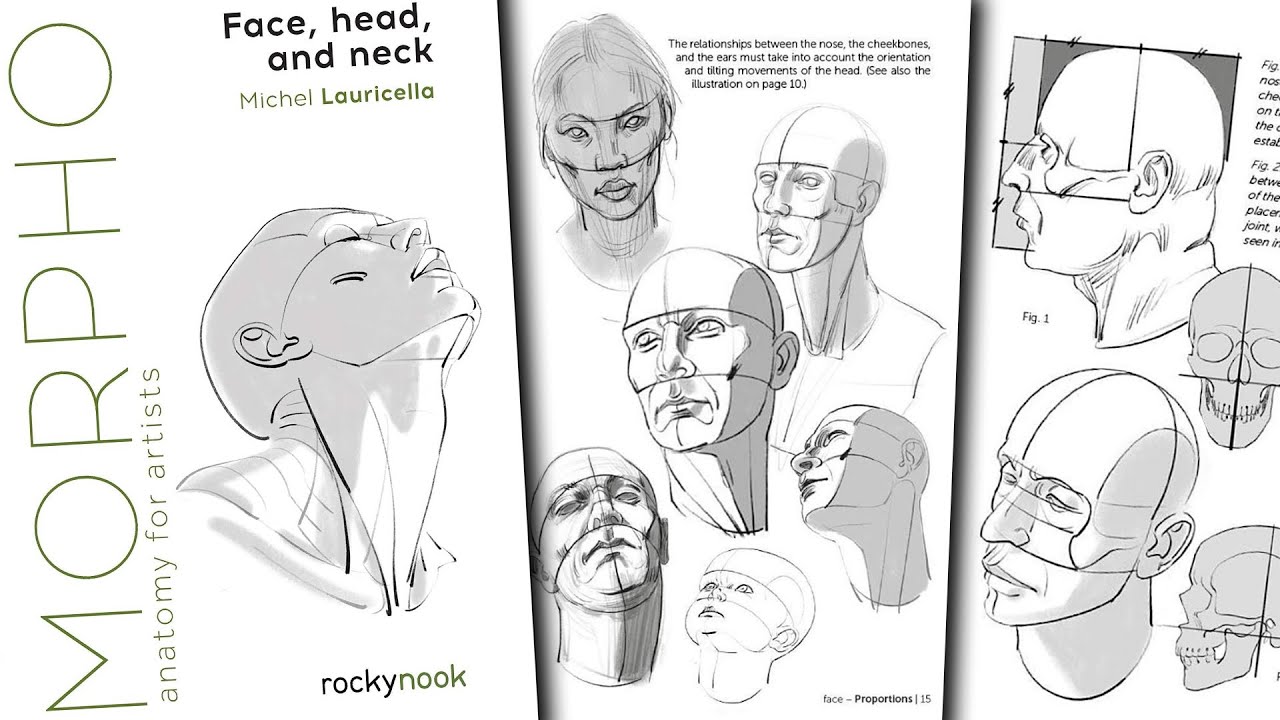 Morpho Anatomy for Artists: Face Head and Neck by Michel Lauricella book preview