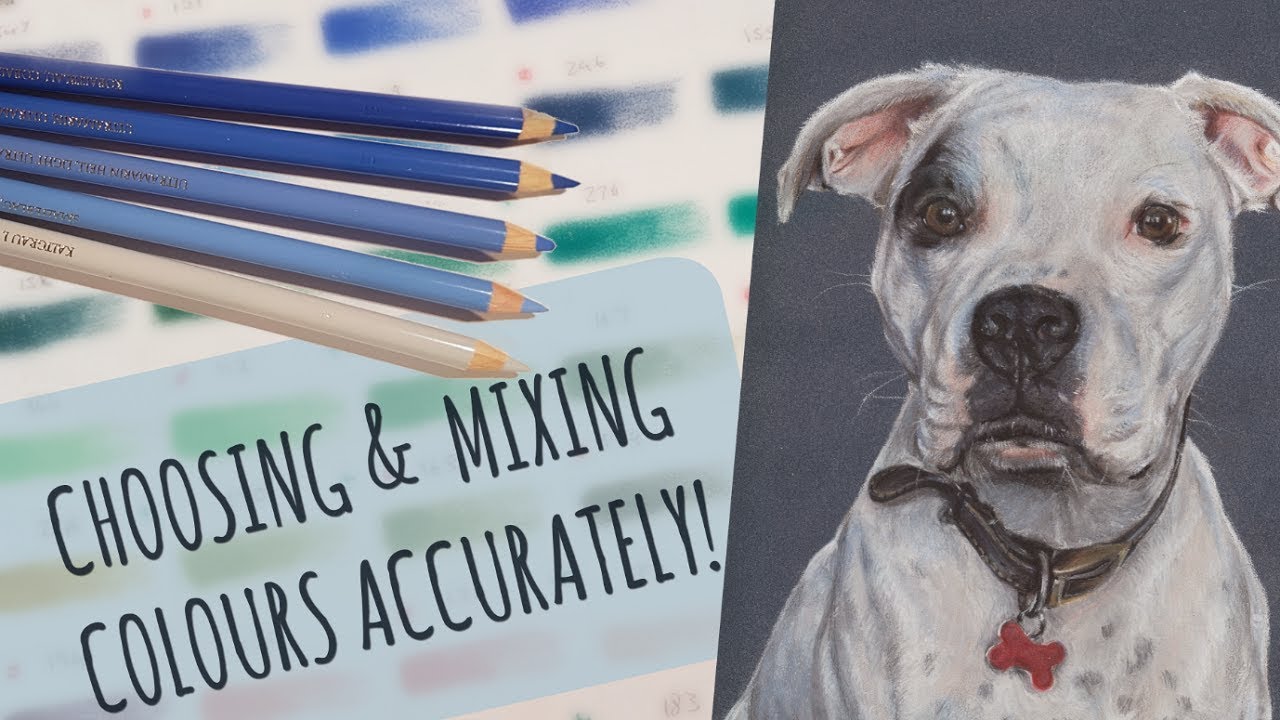 How To Choose & Mix Colours | Drawing White Fur