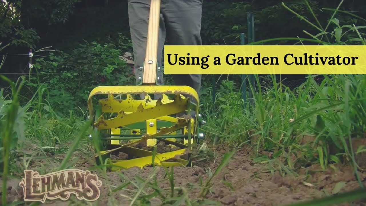 Using a Garden Cultivator