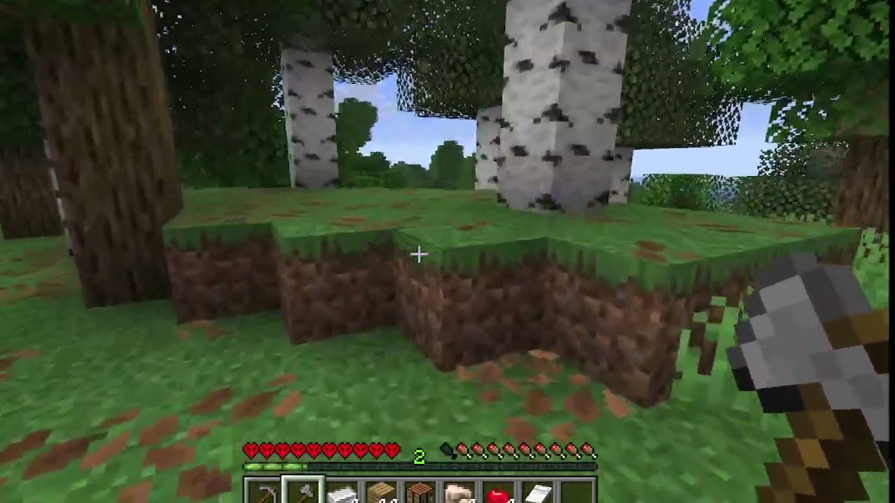 Playing Minecraft