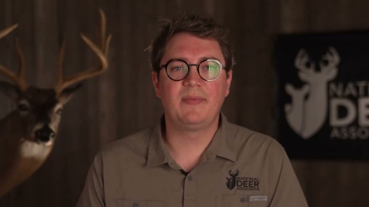 Where To Hunt on Public Land (deer hunting 101)