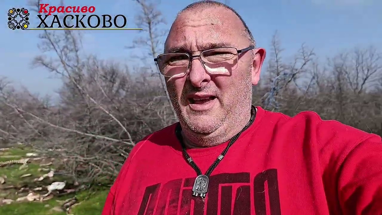 Гниещи животински останки до село Маслиново